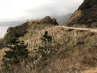 Bord de la route de Big Sur