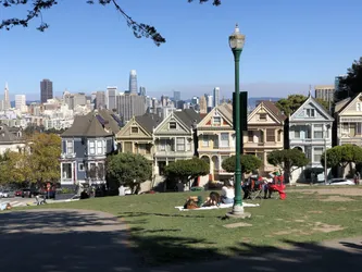 Painted Ladies