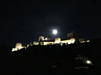 On ferait mieux de rentrer, avec cette pleine lune, on risque de tomber sur des chatons-garous à tout moment !!